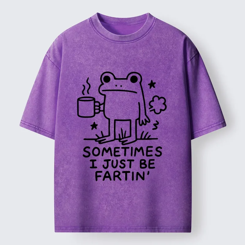 Tokyo-Tiger Sometimes A Frog Just Needs To Fart Washed T-Shirt