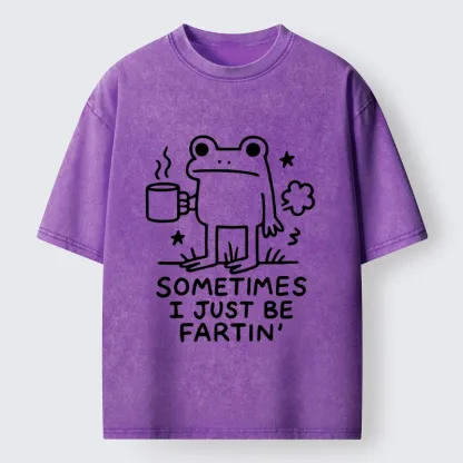 Tokyo-Tiger Sometimes A Frog Just Needs To Fart Washed T-Shirt