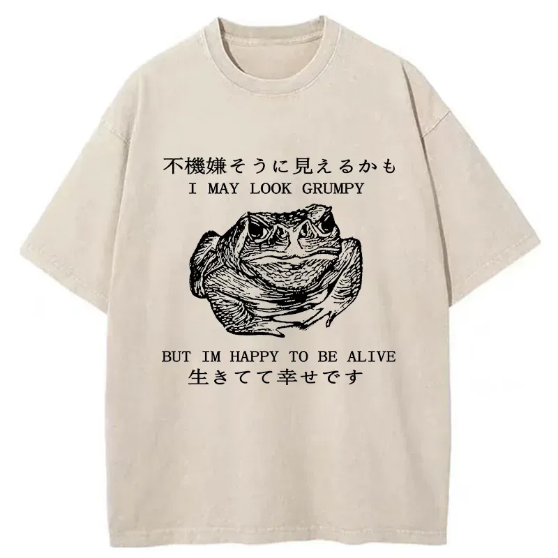 Tokyo-Tiger Emotionally Calm Frog Washed T-Shirt