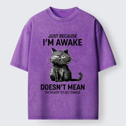Tokyo-Tiger Grumpy Cat Not Ready To Do Things Washed T-Shirt