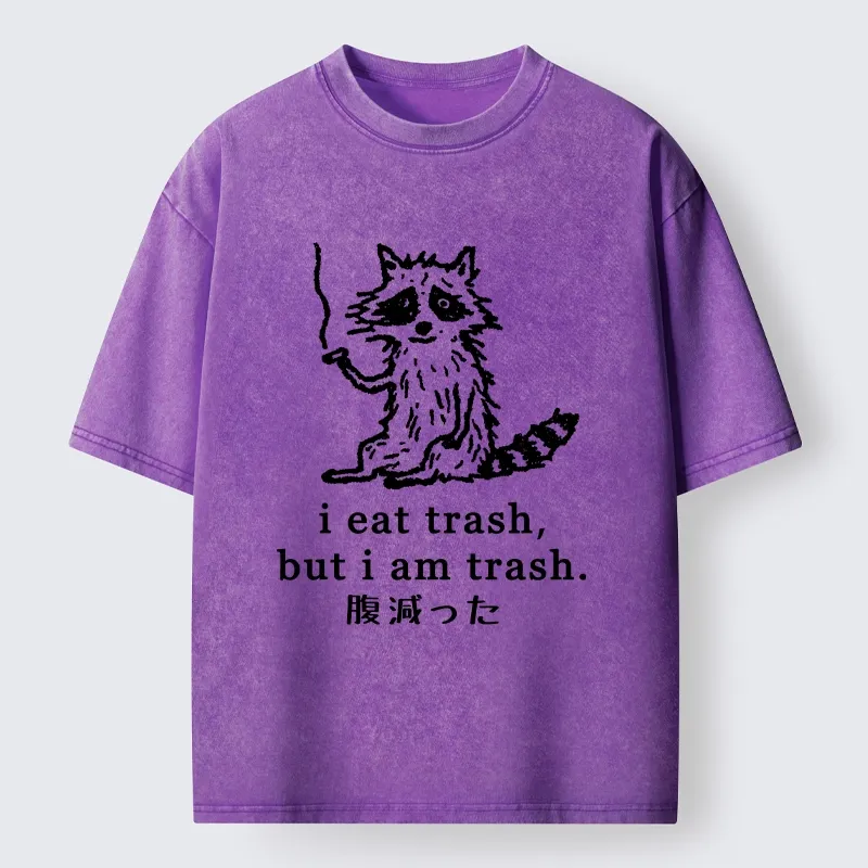 Tokyo-Tiger Raccoon’s Trashy Lifestyle Washed T-Shirt