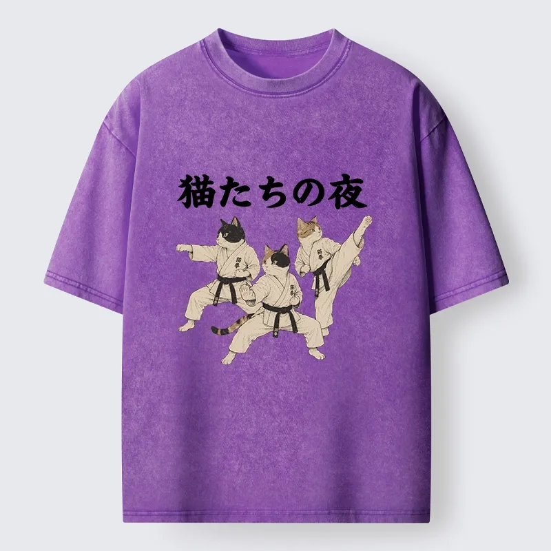 Tokyo-Tiger Funny Karate Cats Black Belt Meme Washed T-Shirt