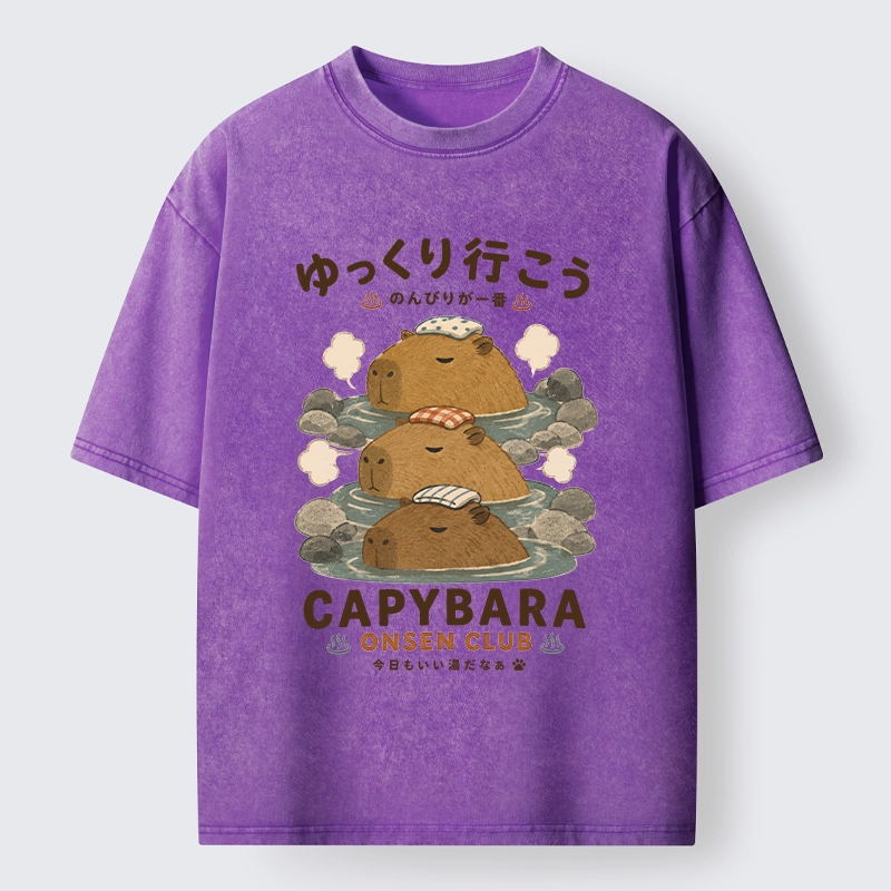 Tokyo-Tiger Hot Spring Life Slow Vibes Only Washed T-Shirt