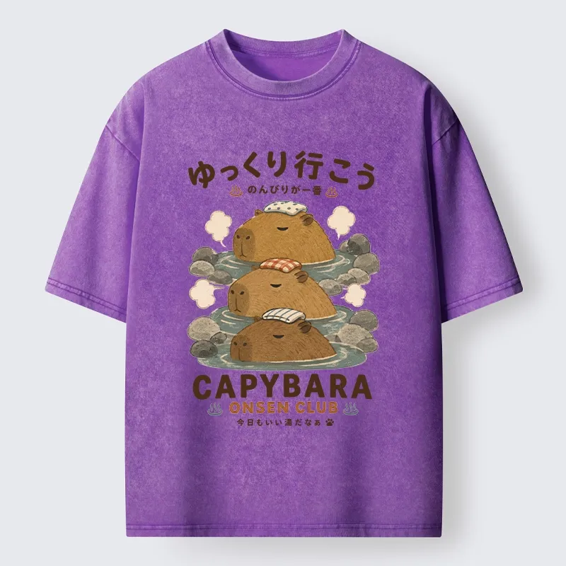 Tokyo-Tiger Hot Spring Life Slow Vibes Only Washed T-Shirt