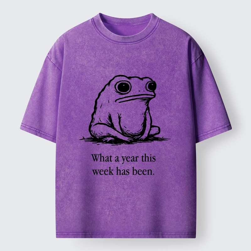 Tokyo-Tiger This Week Feels Like A Whole Year Washed T-Shirt