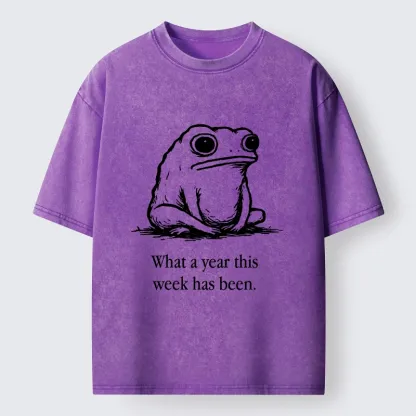 Tokyo-Tiger This Week Feels Like A Whole Year Washed T-Shirt