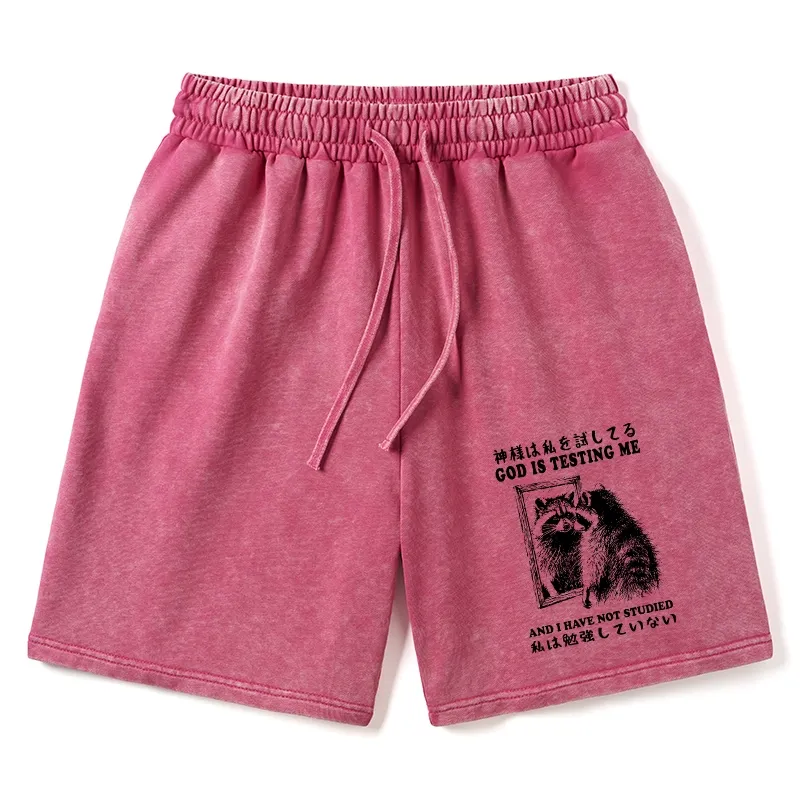 Tokyo-Tiger Raccoon Not Studied Washed Shorts