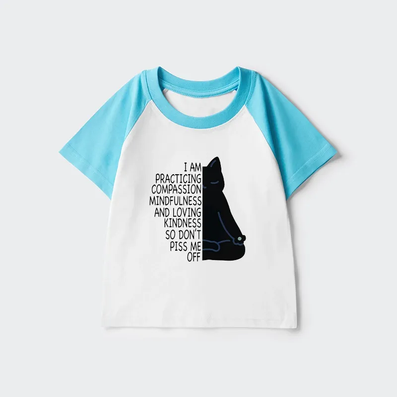 Tokyo-Tiger Calm Black Cat With Anger Issues Kids Raglan T-shirt