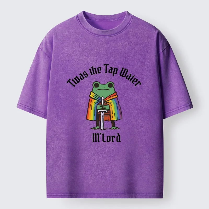 Tokyo-Tiger Funny Rainbow Cloak Frog With Sharp Sword Washed T-Shirt