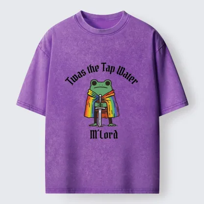 Tokyo-Tiger Funny Rainbow Cloak Frog With Sharp Sword Washed T-Shirt