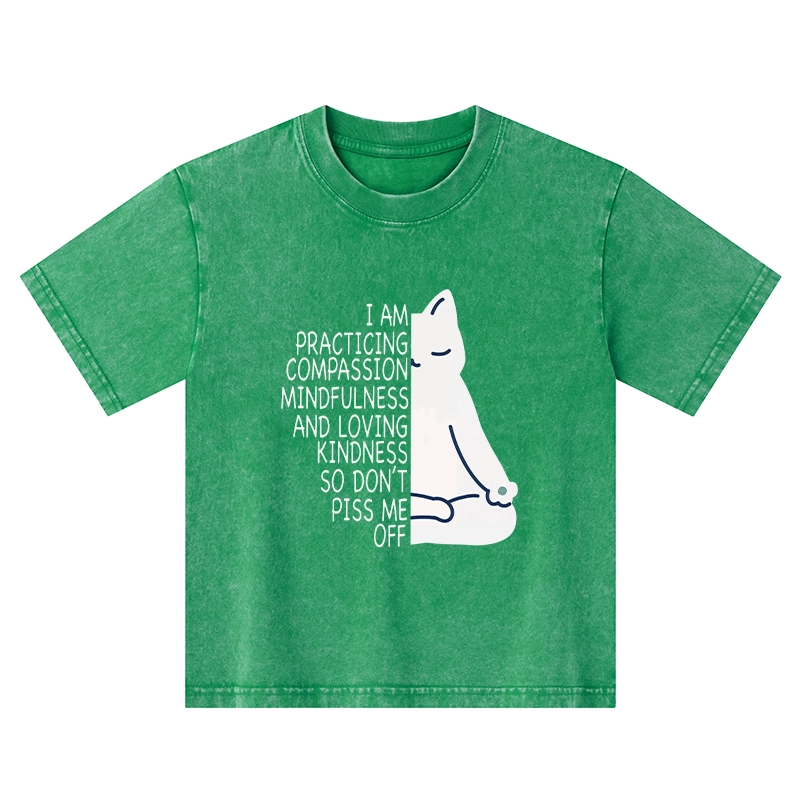 Tokyo-Tiger Calm Black Cat With Anger Issues Kids Washed T-Shirt