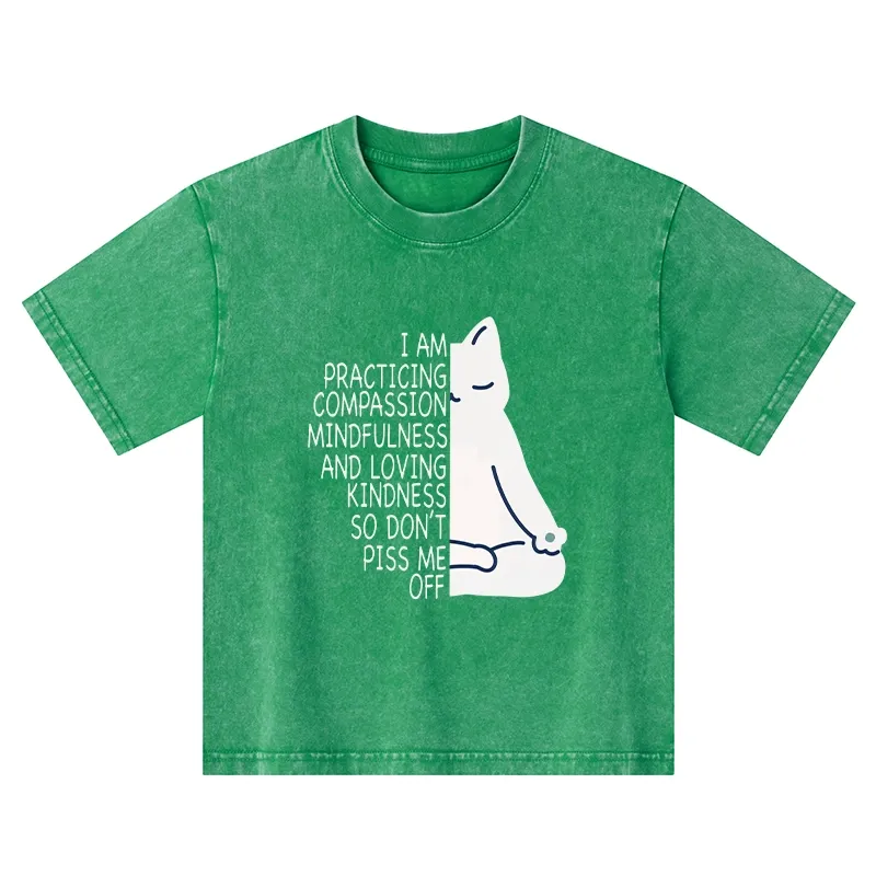 Tokyo-Tiger Calm Black Cat With Anger Issues Kids Washed T-Shirt