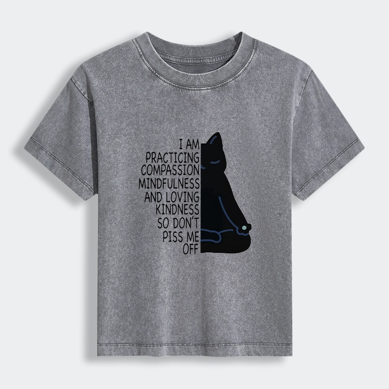 Tokyo-Tiger Calm Black Cat With Anger Issues Women's Washed T-shirt
