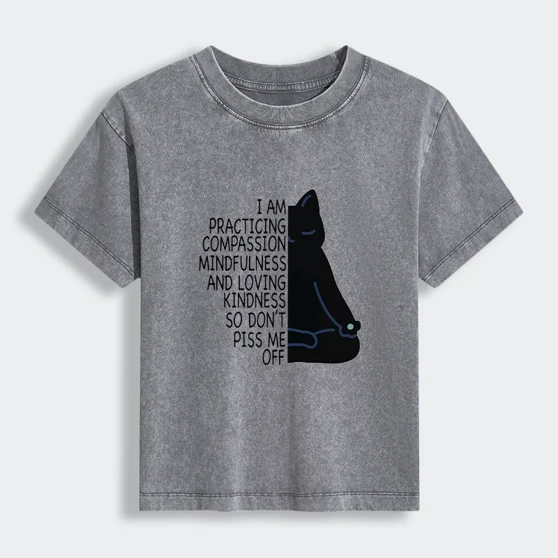 Tokyo-Tiger Calm Black Cat With Anger Issues Women's Washed T-shirt