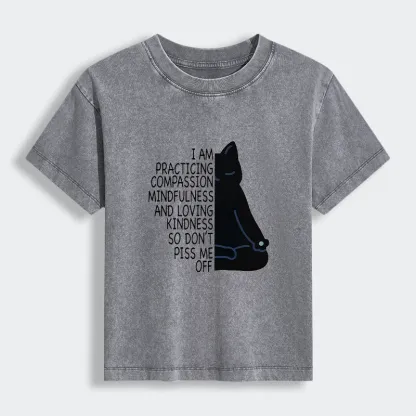 Tokyo-Tiger Calm Black Cat With Anger Issues Women's Washed T-shirt