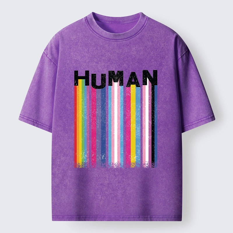 Tokyo-Tiger Rainbow Stripes Human Pride Washed T-Shirt