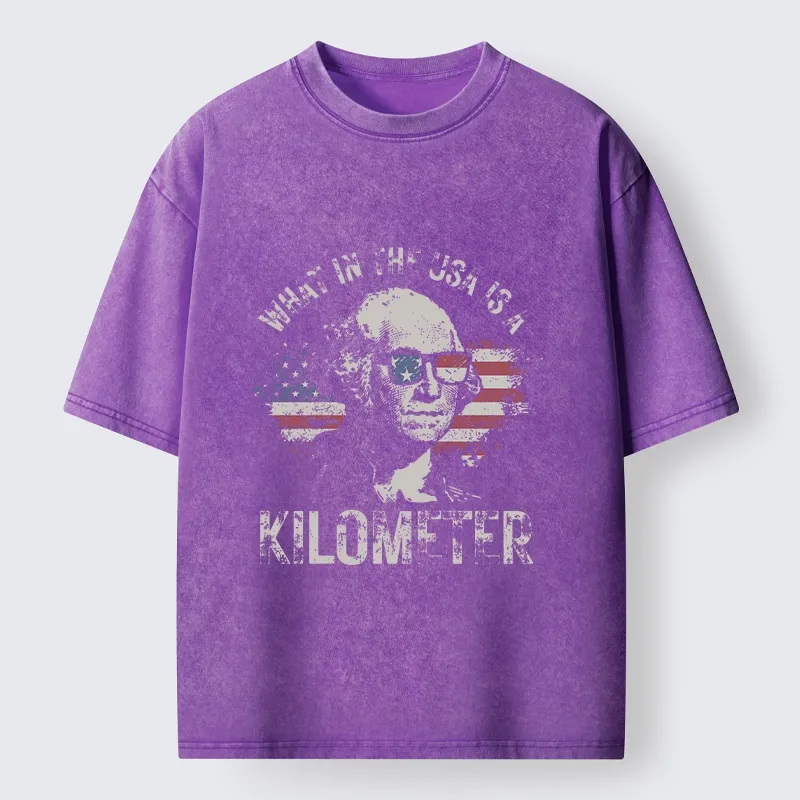 Tokyo-Tiger Patriotic Flag Lens Washington Humor Design Washed T-Shirt