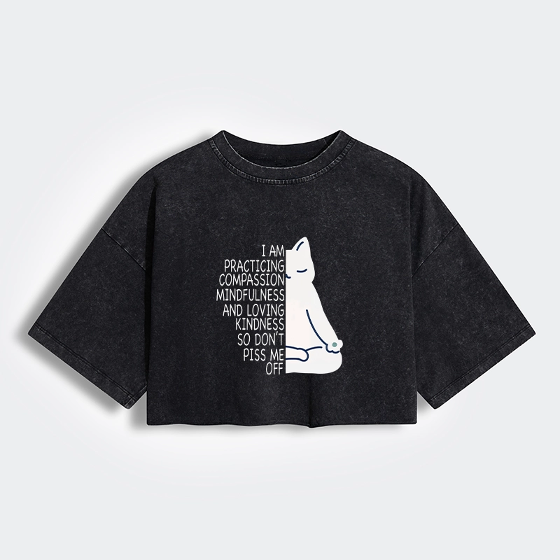 Tokyo-Tiger Calm Black Cat With Anger Issues Women's Washed Crop T-Shirt