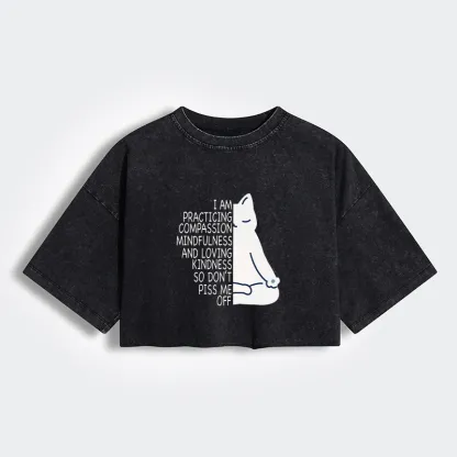 Tokyo-Tiger Calm Black Cat With Anger Issues Women's Washed Crop T-Shirt