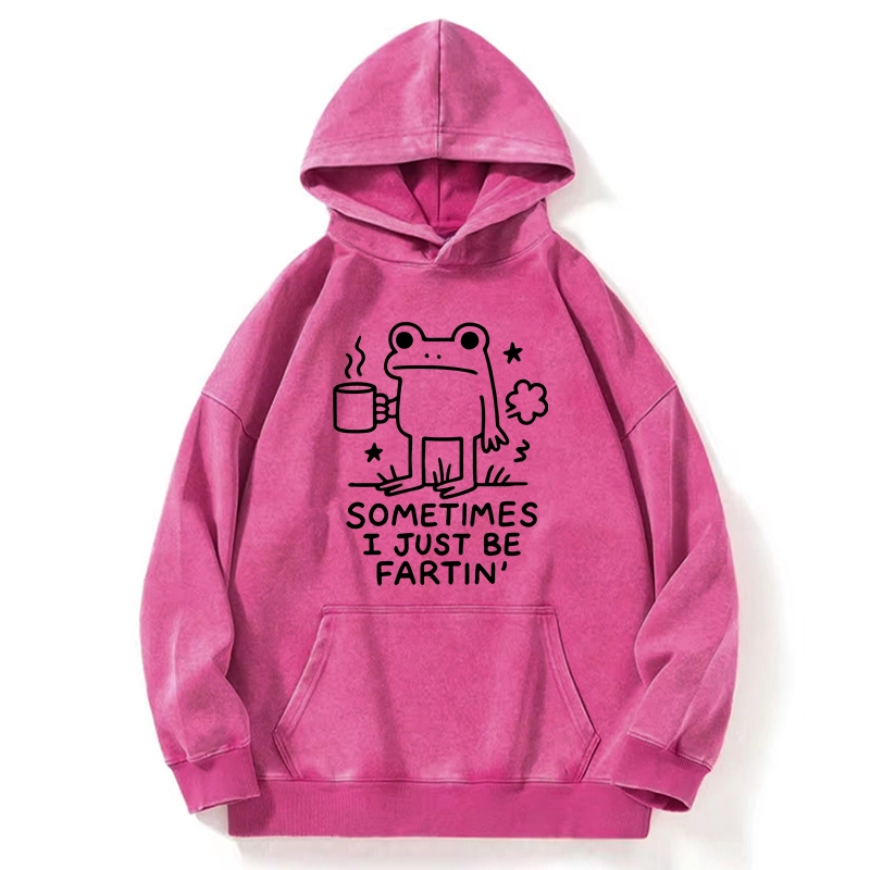 Tokyo-Tiger Sometimes A Frog Just Needs To Fart Washed Hoodie