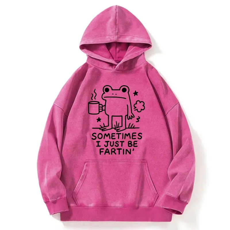 Tokyo-Tiger Sometimes A Frog Just Needs To Fart Washed Hoodie