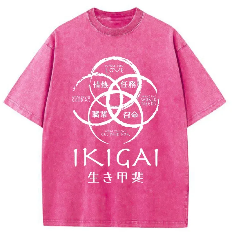 Tokyo-Tiger Life Meaning Japan Washed T-Shirt