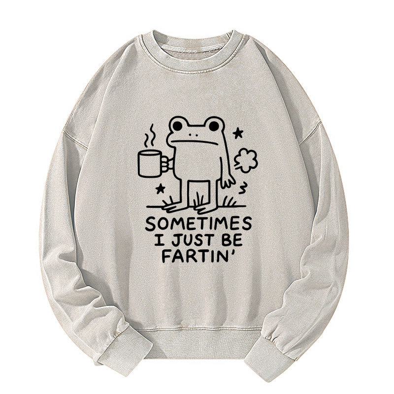 Tokyo-Tiger Sometimes A Frog Just Needs To Fart Washed Sweatshirt