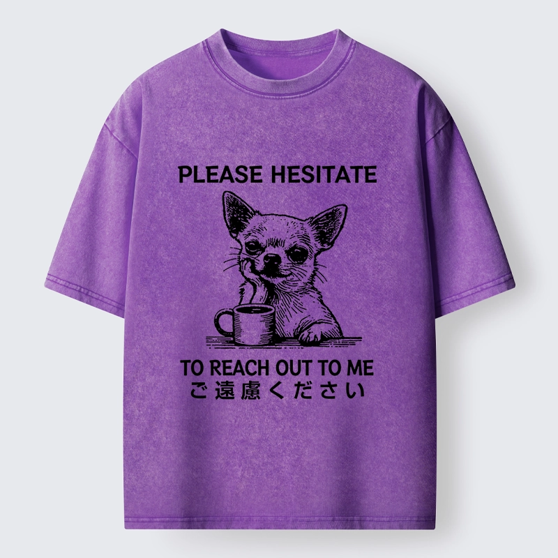 Tokyo-Tiger Little Dog Prefers Being Left Alone Washed T-Shirt