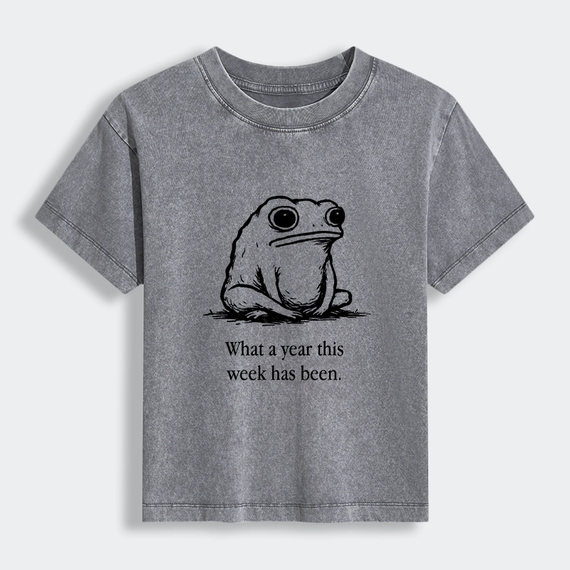 Tokyo-Tiger This Week Feels Like A Whole Year Women's Washed T-shirt