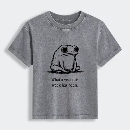 Tokyo-Tiger This Week Feels Like A Whole Year Women's Washed T-shirt