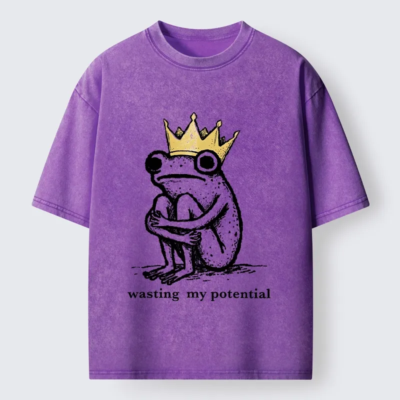 Tokyo-Tiger Crown Frog Wasted Potential Meme Washed T-Shirt