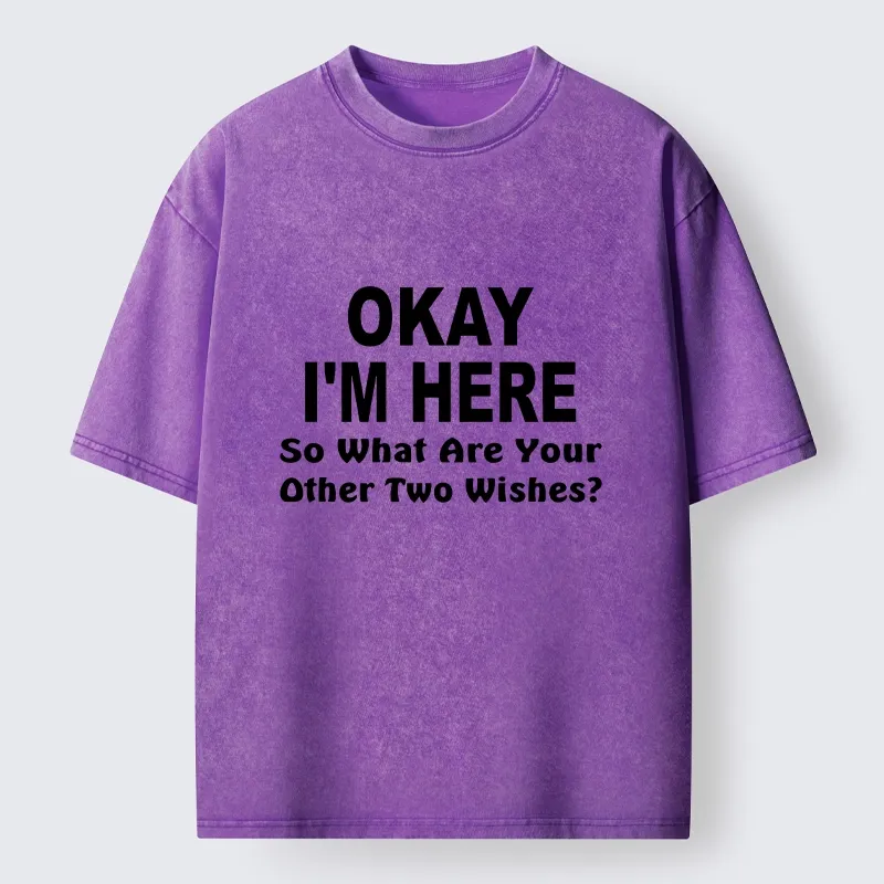 Tokyo-Tiger Meme Vibes Of Three Magic Wishes Washed T-Shirt