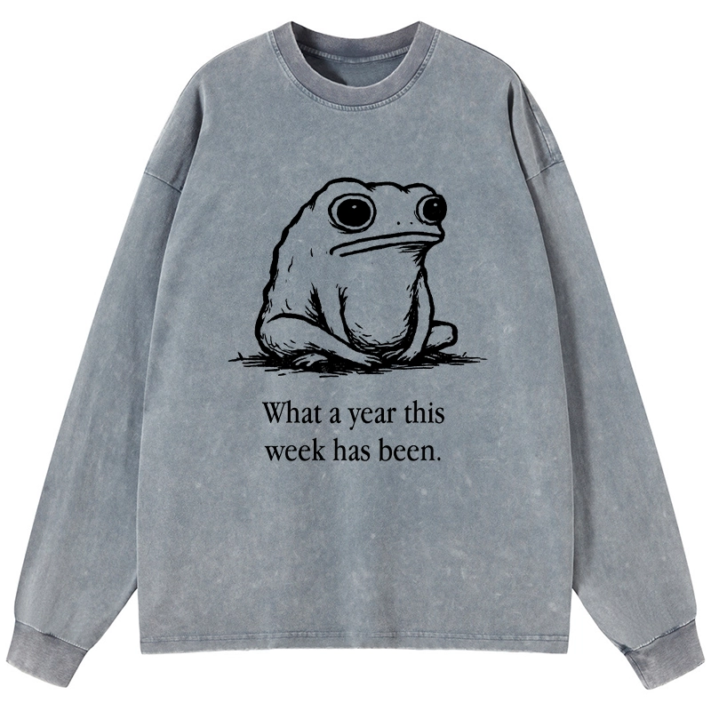 Tokyo-Tiger This Week Feels Like A Whole Year Washed Long Sleeve T-Shirt
