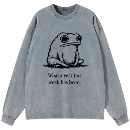 Tokyo-Tiger This Week Feels Like A Whole Year Washed Long Sleeve T-Shirt
