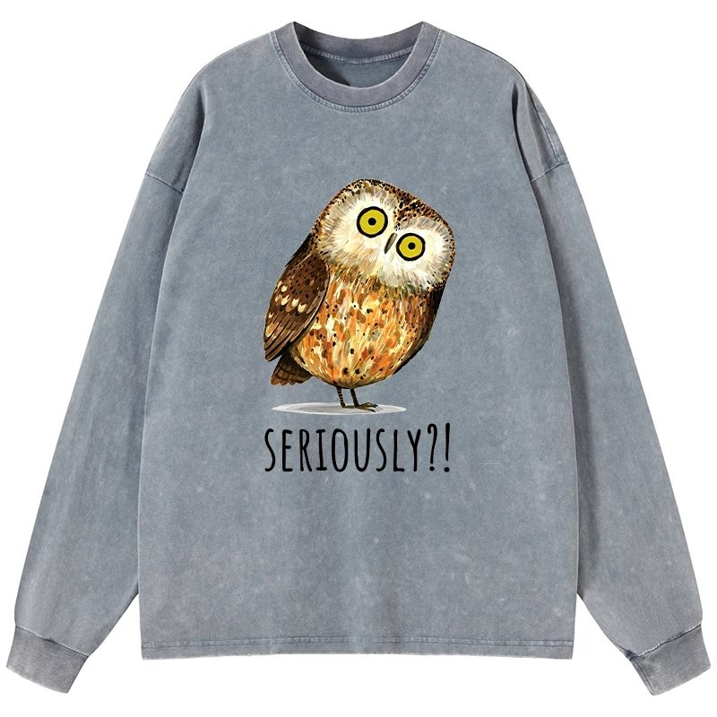 Tokyo-Tiger Seriously Confused Owl Meme Art Washed Long Sleeve T-Shirt