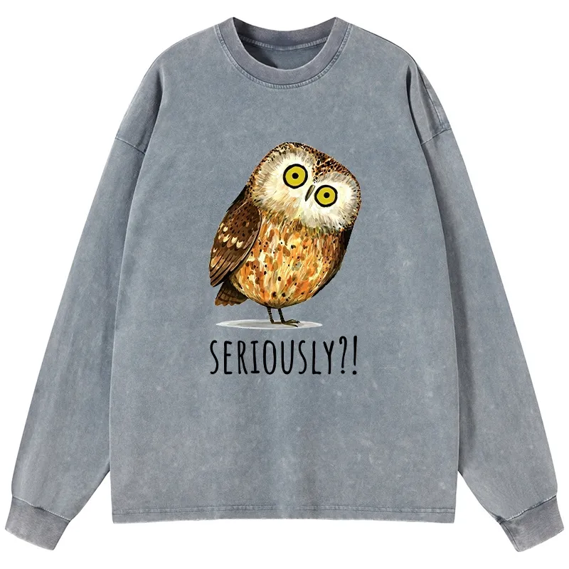 Tokyo-Tiger Seriously Confused Owl Meme Art Washed Long Sleeve T-Shirt Sale