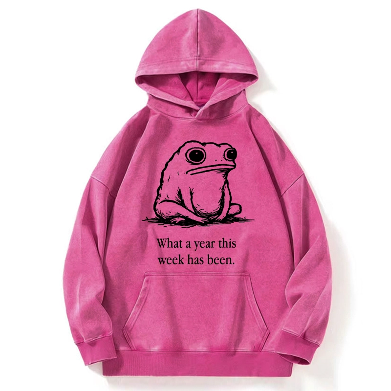 Tokyo-Tiger This Week Feels Like A Whole Year Washed Hoodie