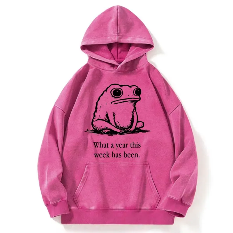 Tokyo-Tiger This Week Feels Like A Whole Year Washed Hoodie