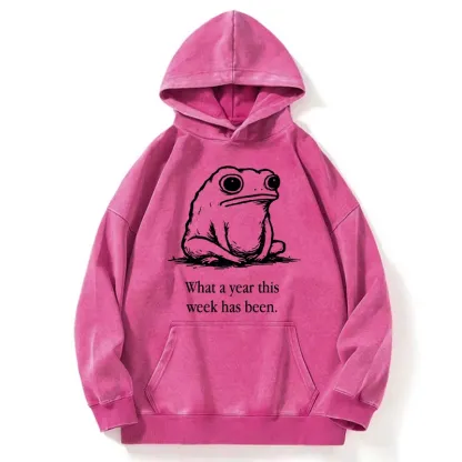 Tokyo-Tiger This Week Feels Like A Whole Year Washed Hoodie