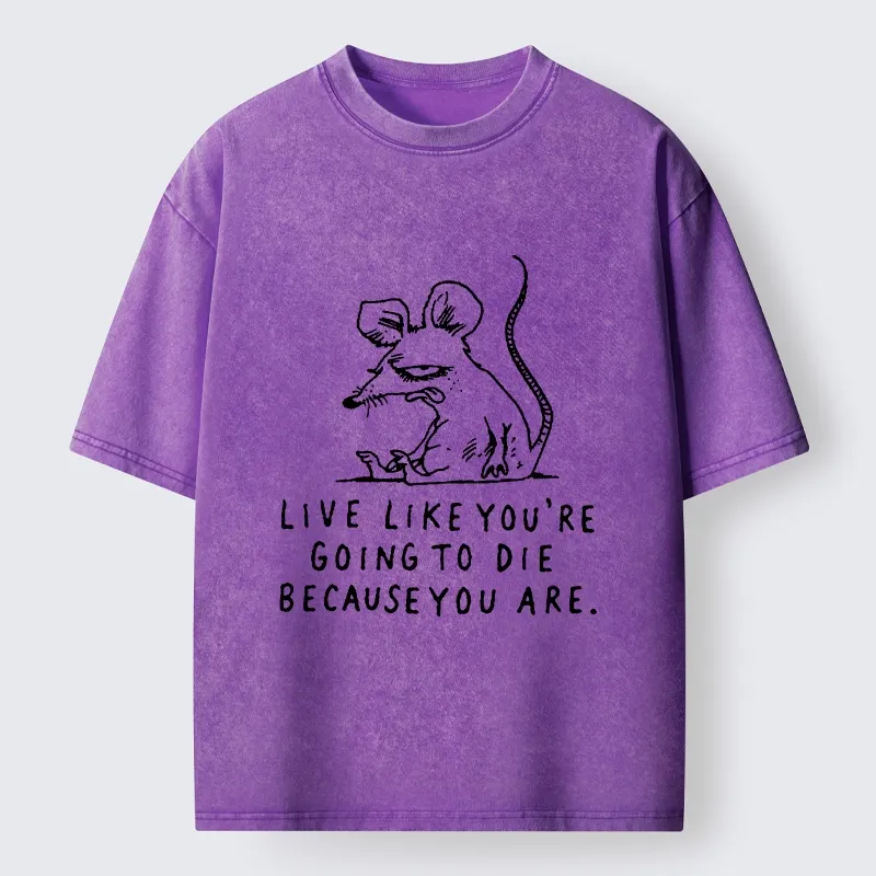 Tokyo-Tiger Funny Meme Sarcastic Rat Life Truth Washed T-Shirt