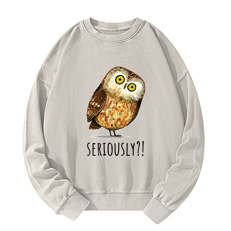 Tokyo-Tiger Seriously Confused Owl Meme Art Washed Sweatshirt