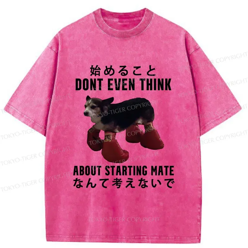 Tokyo-Tiger Funny Violent Boxer Washed T-Shirt