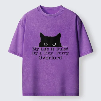 Tokyo-Tiger Cat Rules Human Life Simple Graphic Washed T-Shirt