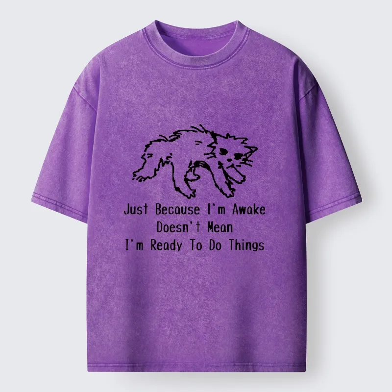 Tokyo-Tiger Chill Tired Cat Slow Lazy Life Art Washed T-Shirt