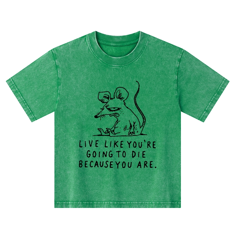 Tokyo-Tiger Funny Meme Sarcastic Rat Life Truth Kids Washed T-Shirt
