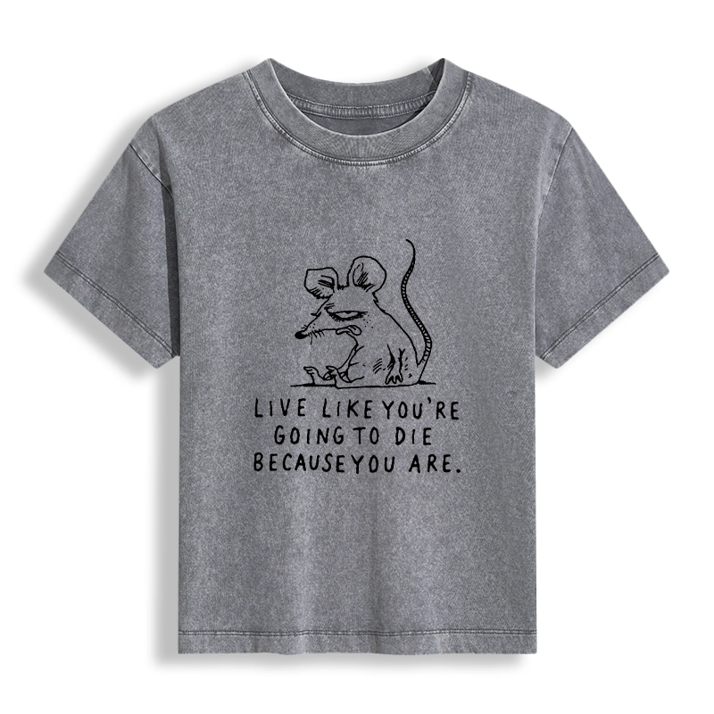 Tokyo-Tiger Funny Meme Sarcastic Rat Life Truth Women's Washed T-shirt