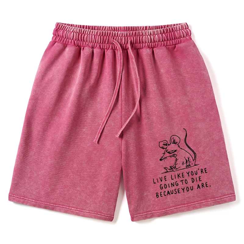 Tokyo-Tiger Funny Meme Sarcastic Rat Life Truth Washed Shorts