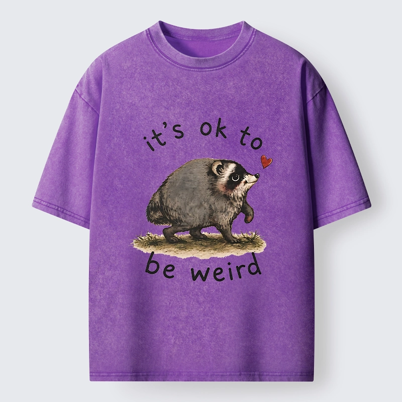 Tokyo-Tiger Jimothy Weird Raccoon Art Washed T-Shirt
