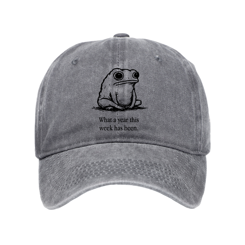 Tokyo-Tiger This Week Feels Like A Whole Year Washed Cap