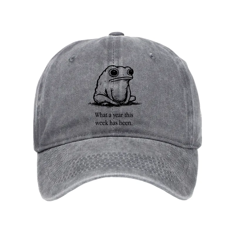 Tokyo-Tiger This Week Feels Like A Whole Year Washed Cap